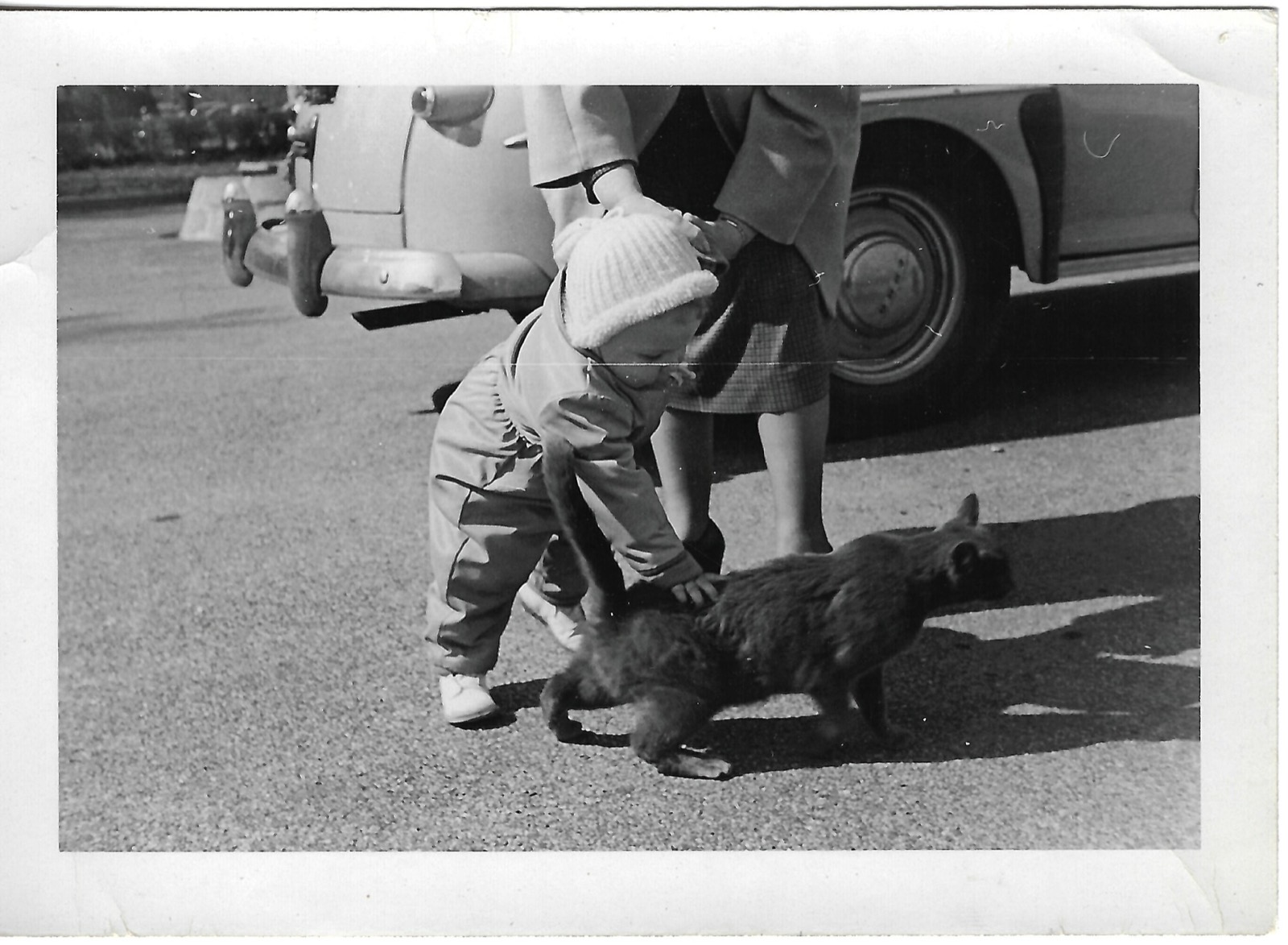 Young Betty petting a cat near a car