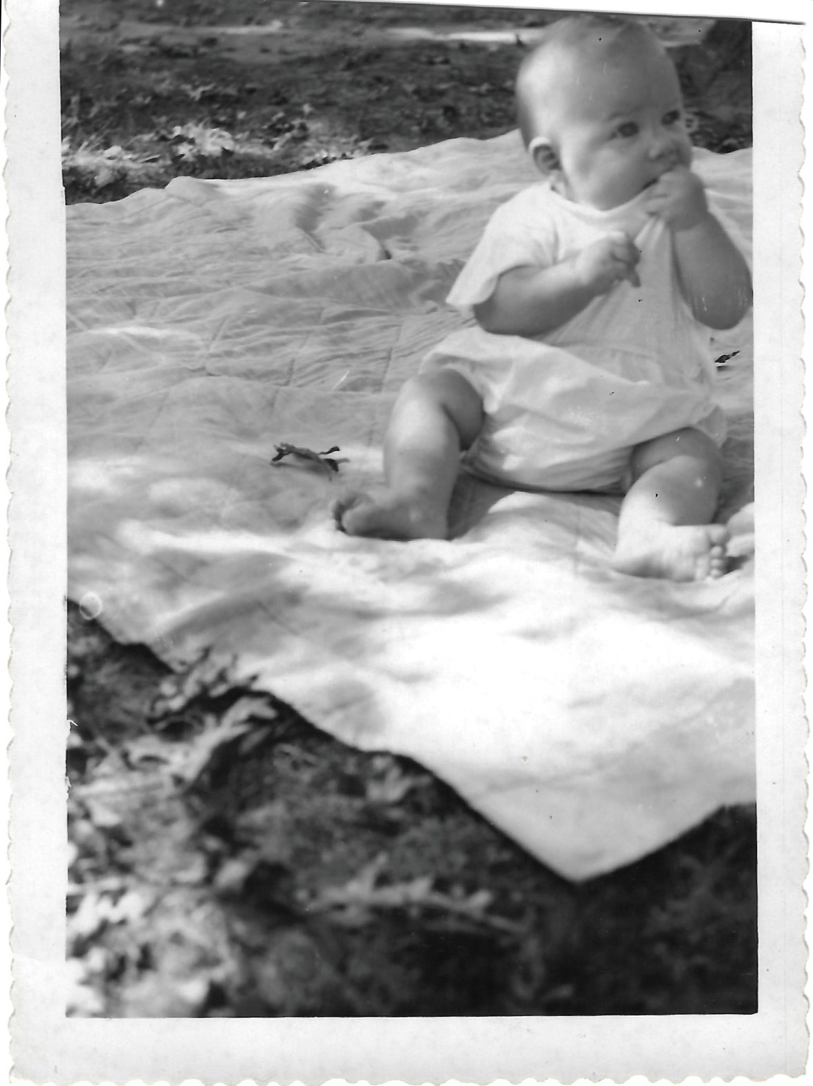 Betty, 3 months old. Long Branch, NJ, June 1951.