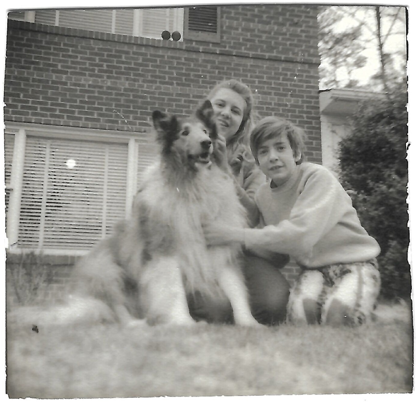 Betty, Bill, and Ace the dog